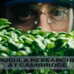Arugula Researcher at Cambridge’: The Story Behind Today Tricky Crossword Clue