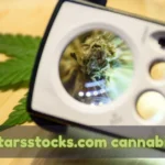 starsstocks.com cannabis: Evaluating Their Approach to Cannabis Stock Investments