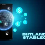Biitland.com Stablecoins and the Future of Digital Payments: Stability Meets Innovation
