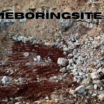 Someboringsite.com Reviewed: What Lies Beneath the Dull Name?