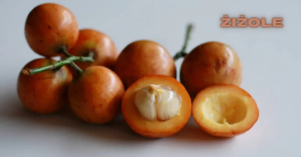 Žižole: The Little-Known Fruit with Big Benefits