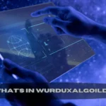 Exploring What’s in Wurduxalgoilds: A Deep Dive into Its Algorithmic Architecture and Applications